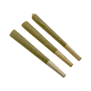 Animal Face Pre-Roll